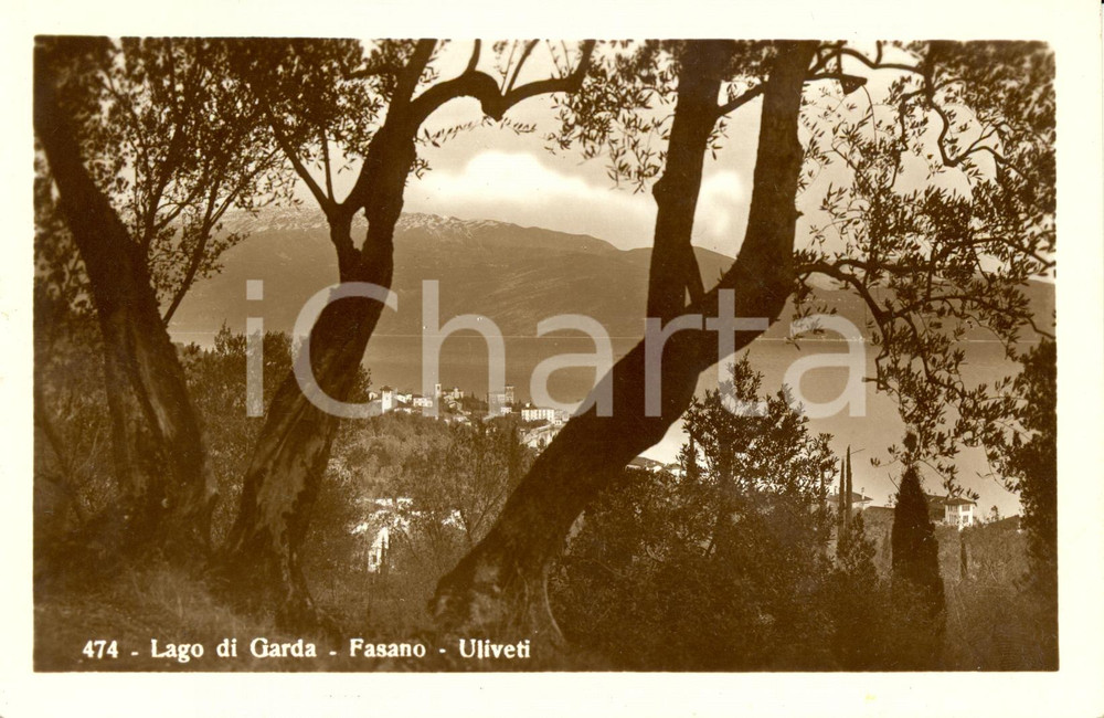 Cartolina originale da collezione 1950 ca GARDONE RIVIERA BS Uliveti sul lago frazione FASANO Cartolina FP NV 1