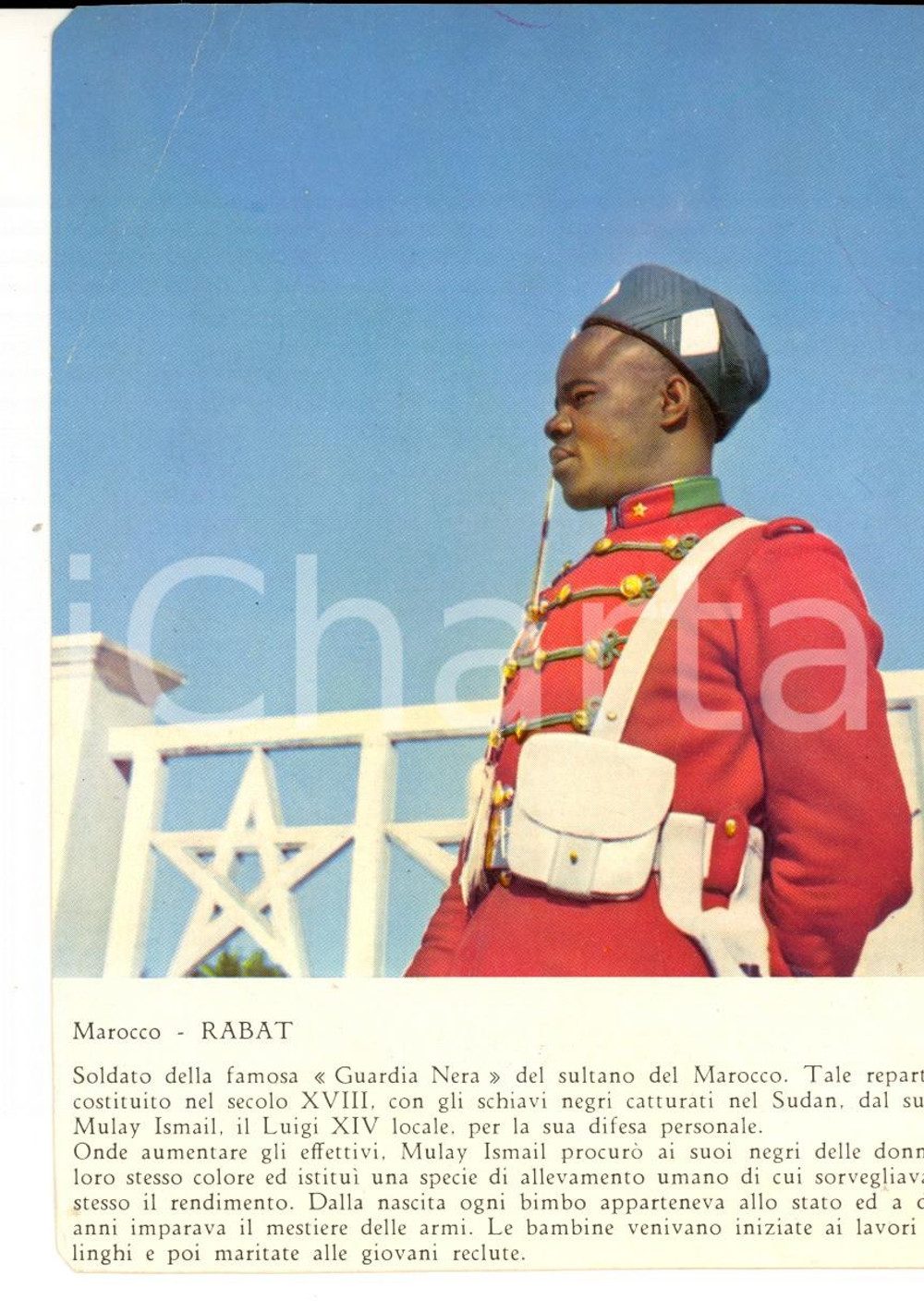 Materiale pubblicitario d’epoca 1960 circa MILANO Piperazina e Antelmina MIDY Illustrato Guardia Nera RABAT 1