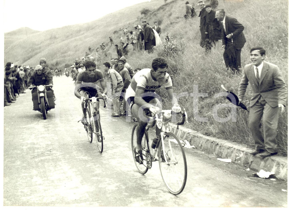 1957 CICLISMO GIRO D'ITALIA Aldo MOSER e Raphael GEMINIANI verso RADICOFANI Foto