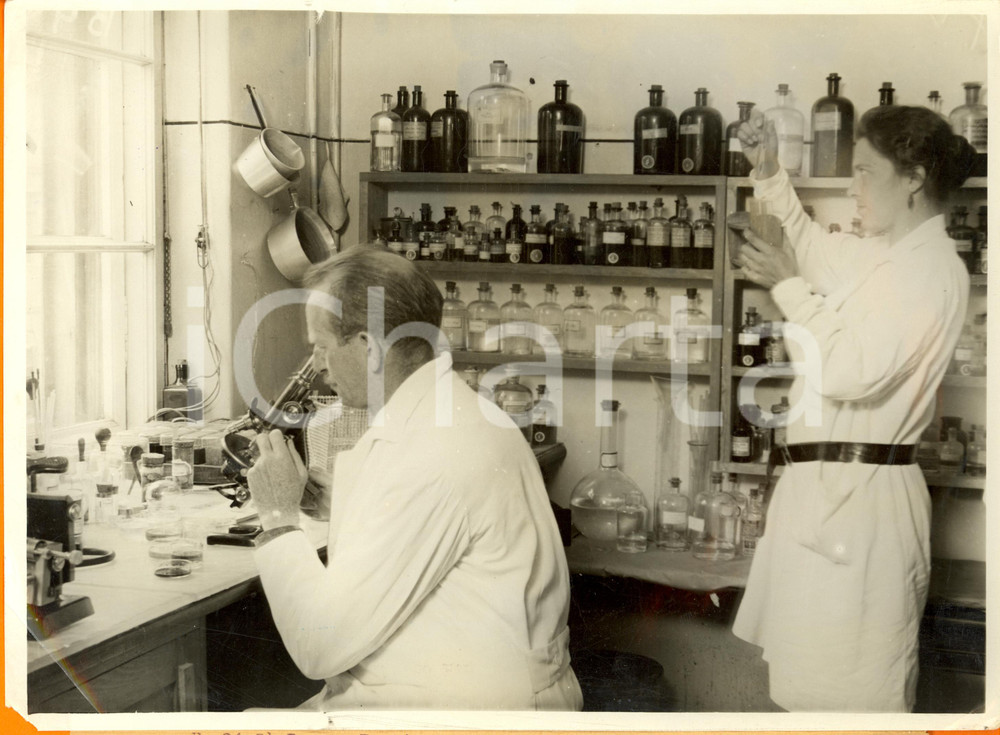 Fotografia d epoca originale 1935 ca BERLIN Hans HIRSCHFELD studia cellule cancerose Fotografia DANNEGGIATA 1