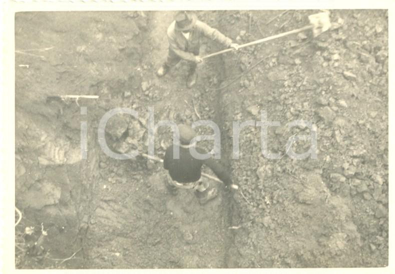 Fotografia d epoca originale 1956 ZINASCO PV Lavori scavo difesa CANAROLO Impresa GALANDINI Foto 7x10 7 1