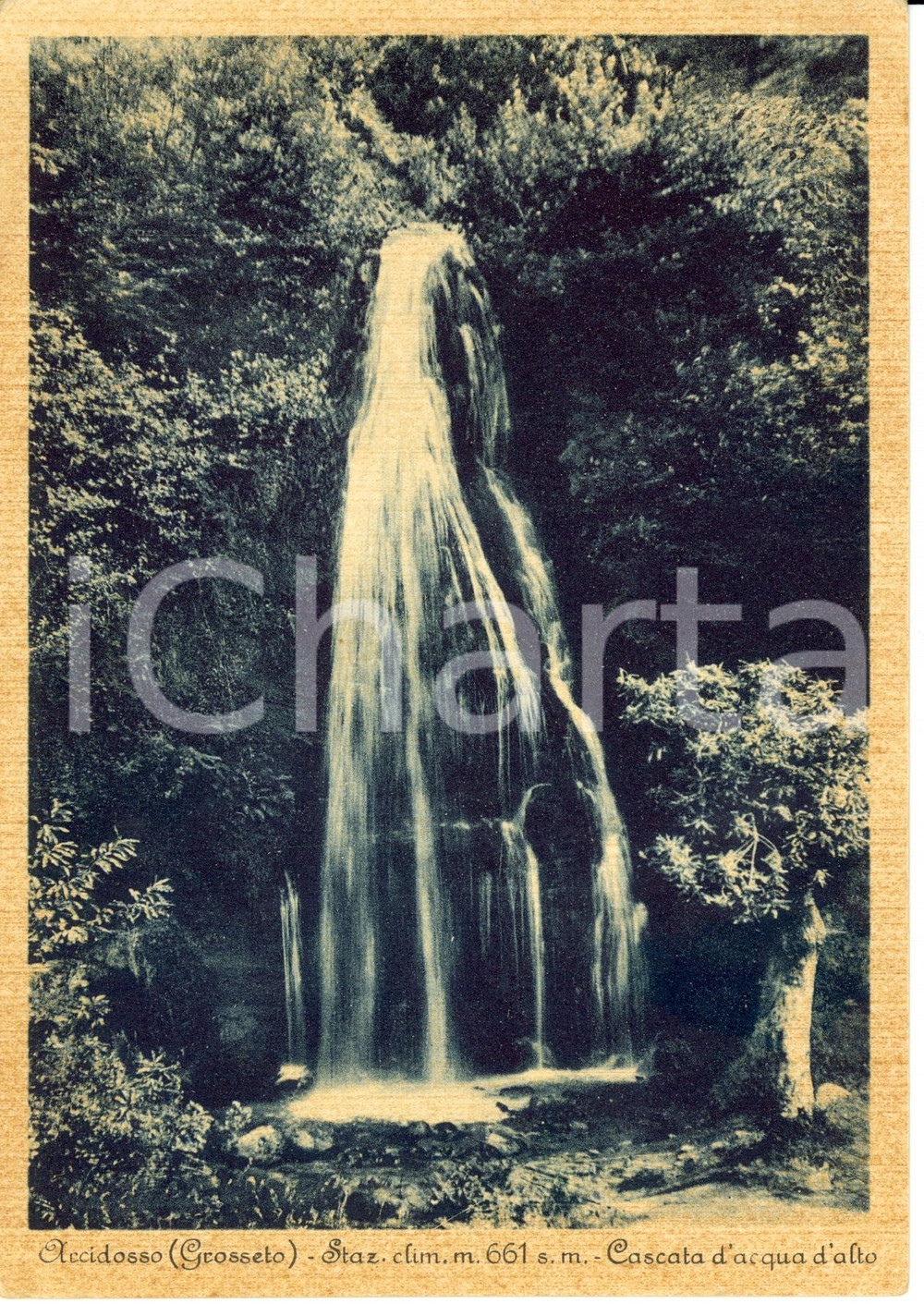 Cartolina originale da collezione 1920 ca ARCIDOSSO (GR) Cascata D'ACQUA D'ALTO a BAGNOLI *Cartolina FG NV 1