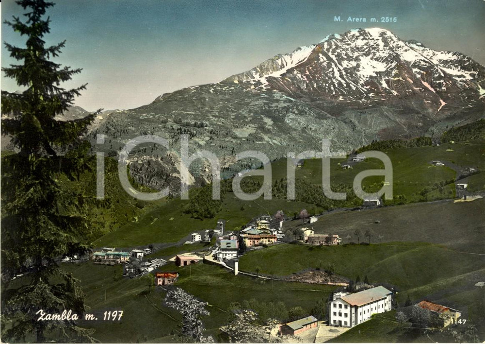Cartolina originale da collezione 1960 ca ZOGNO (BG) Veduta panoramica del Colle ZAMBLA *Cartolina postale FG VG 1