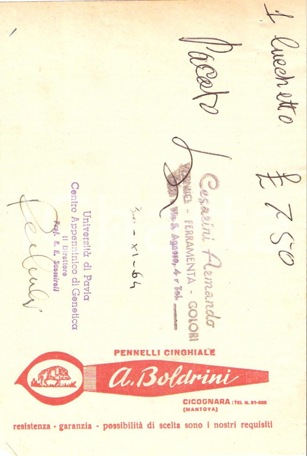 Materiale pubblicitario d’epoca 1967 PAVIA Ferramenta CESARINI Pennelli CINGHIALE Ditta BOLDRINI *Ricevuta 10x15 1