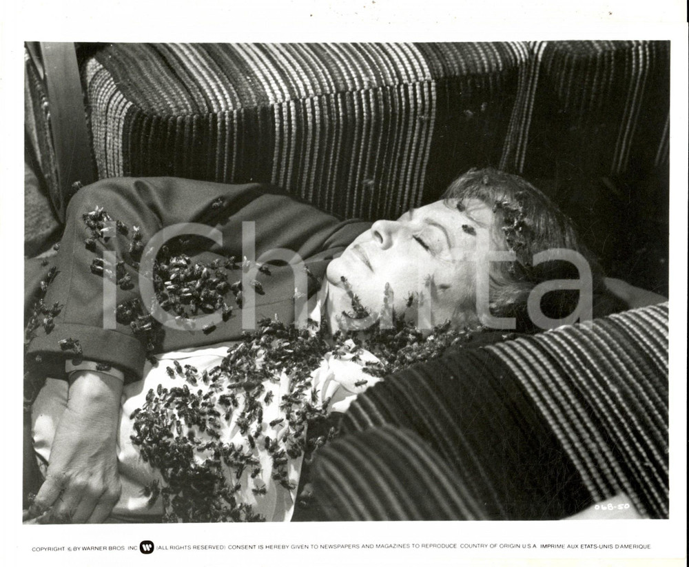 Fotografia d epoca originale 1966 CINEMA Film The deadly bees Fotografia di scena 25x21 cm 1