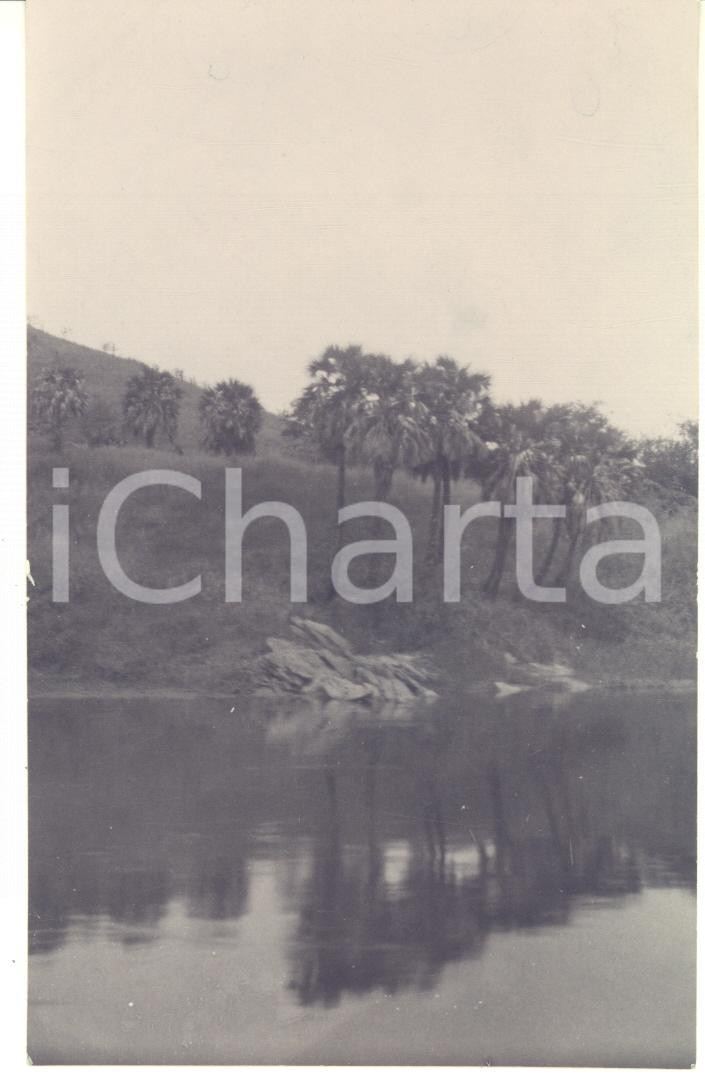 1930 ca C. ZAGOURSKI (?) CONGO BELGE - Près de MATADI - Vue - Palmiers - Photo  Fotocartolina postale d'epoca, attibuita al fotografo Casimir Zagourski.CONDIZIONI: GFORMATO: 9x14 cm    originale e autentica 1