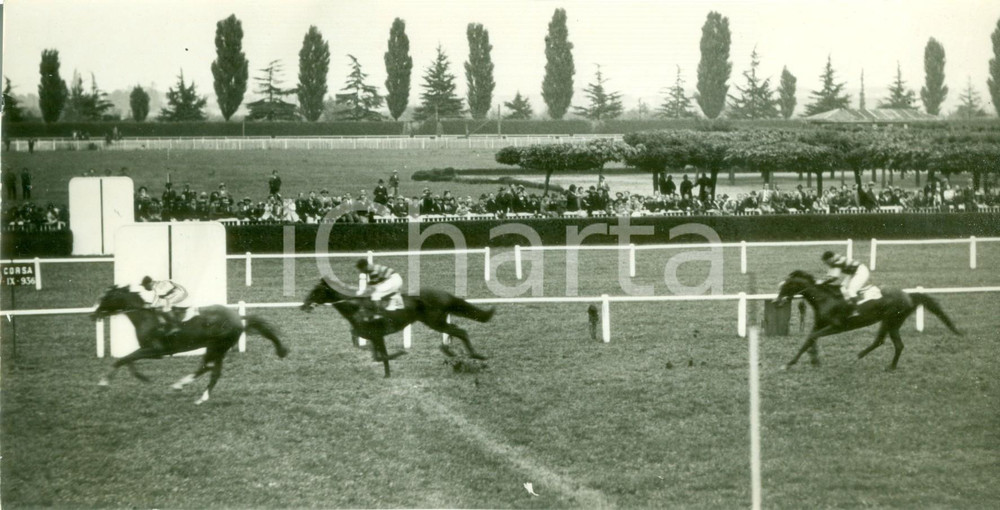 Fotografia d epoca originale 1936 MILANO SAN SIRO Cavallo TELLURIO vince Gran Premio del Fascio Fotografia 1