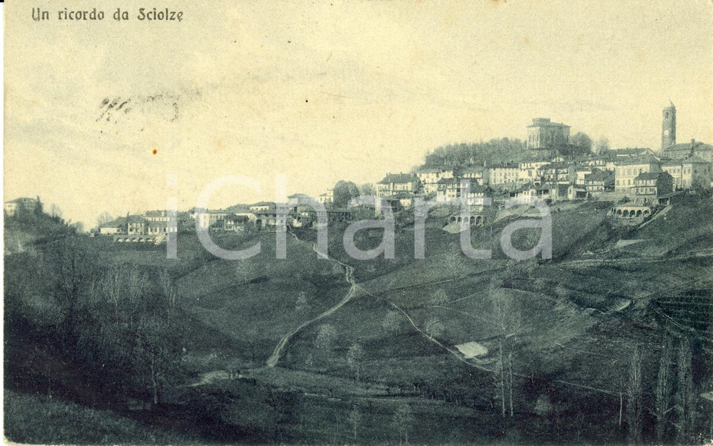 Cartolina originale da collezione 1919 SCIOLZE (TO) Veduta panoramica dell'abitato *Cartolina postale FP VG 1