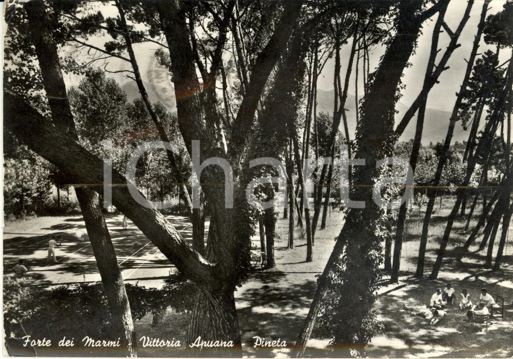 Cartolina originale da collezione 1960 FORTE DEI MARMI LU Pineta a VITTORIA APUANA Cartolina ANIMATA FG VG 1