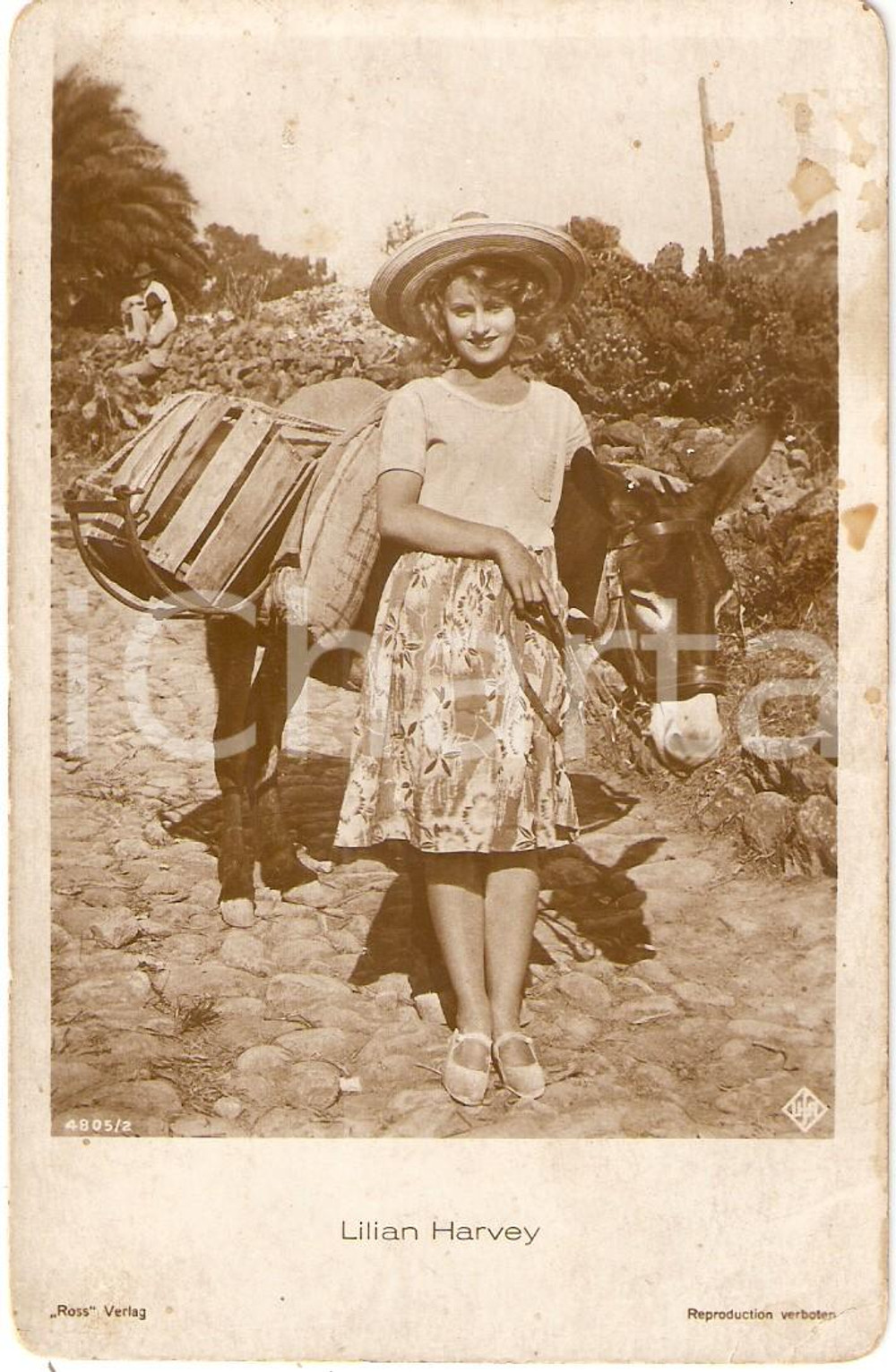 Cartolina originale da collezione 1930 ca CINEMA Actress Lilian HARVEY Portrait with donkey *Cartolina DANNEGGIATA 1