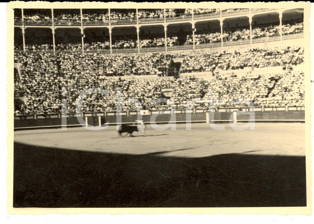 Fotografia d epoca originale 1960 ca ESPANA CORRIDA  Torero in azione nell arena Foto VINTAGE 15x10 cm 1