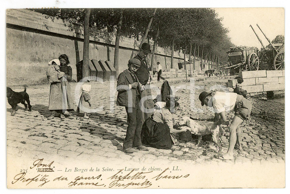 1907 PARIS METIERS Les Berges de la Seine - Laveur de chiens *Postcard  Cartolina postale d'epoca, viaggiata, animata. FAIR/discreto piccole piegature angolari Formato: 14x9 cm originale e autentica 1