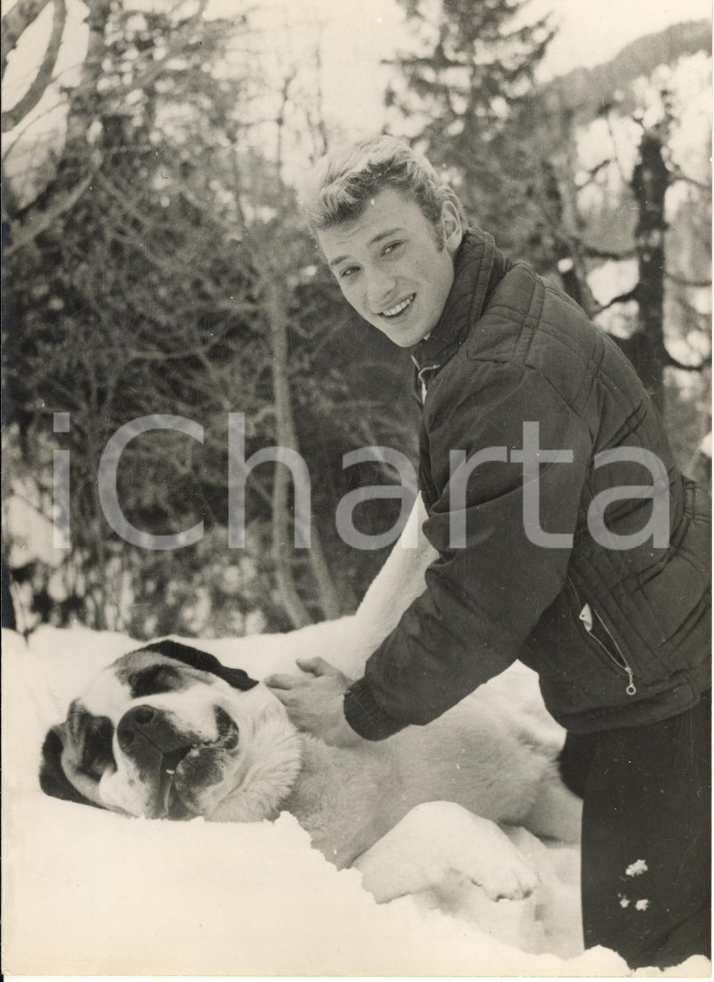 1962 GSTAAD Johnny HALLYDAY gioca con un cane durante le vacanze sulla neve