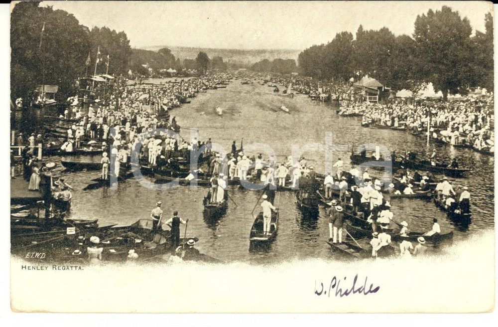 Cartolina originale da collezione 1903 River THAMES (ENGLAND) HENLEY REGATTA finish line *Vintage postcard 1