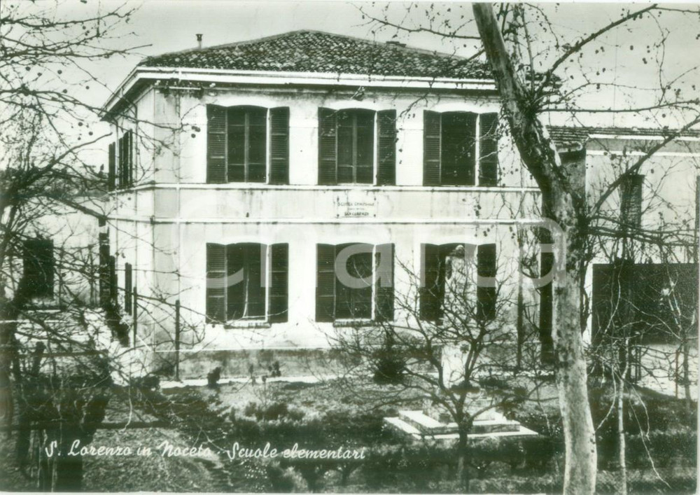 Cartolina originale da collezione 1950 ca FORLI  Scuole elementari di SAN LORENZO IN NOCETO Cartolina postale 1