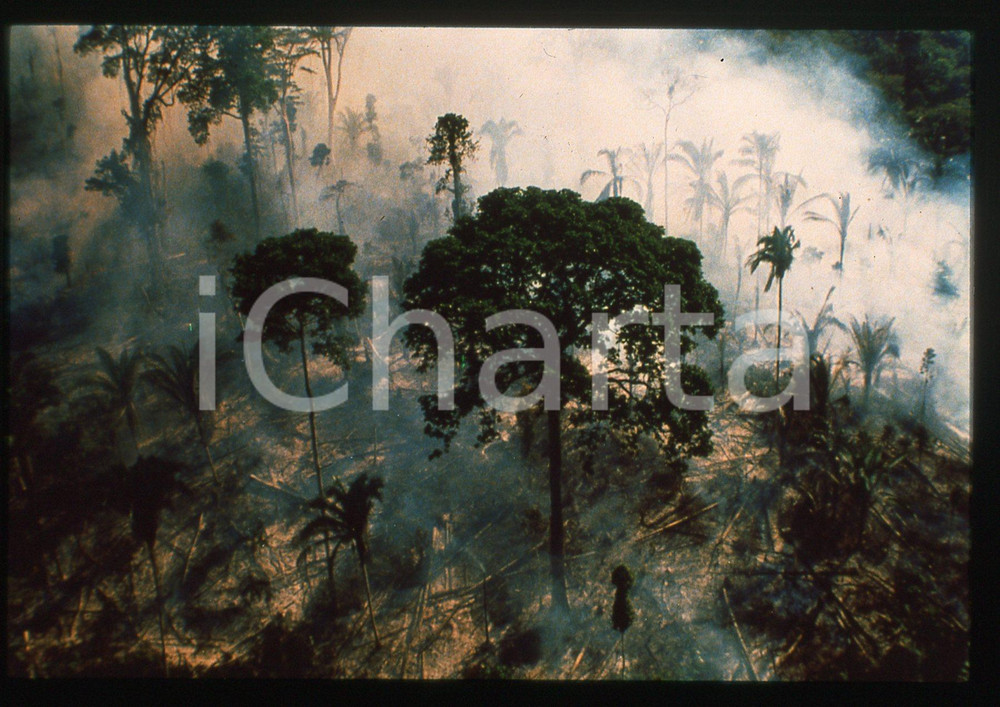 35mm vintage slide*1991 ANIMA MUNDI - Scena dal documentario di Godfrey REGGIO 1