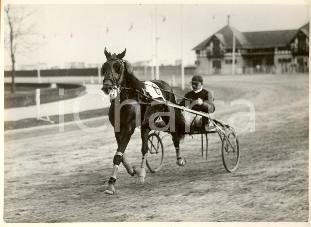 Fotografia d epoca originale 1933 MILANO Ippodromo SAN SIRO Cavallo VIOTTI al Gran Premio nazionale di trotto 1