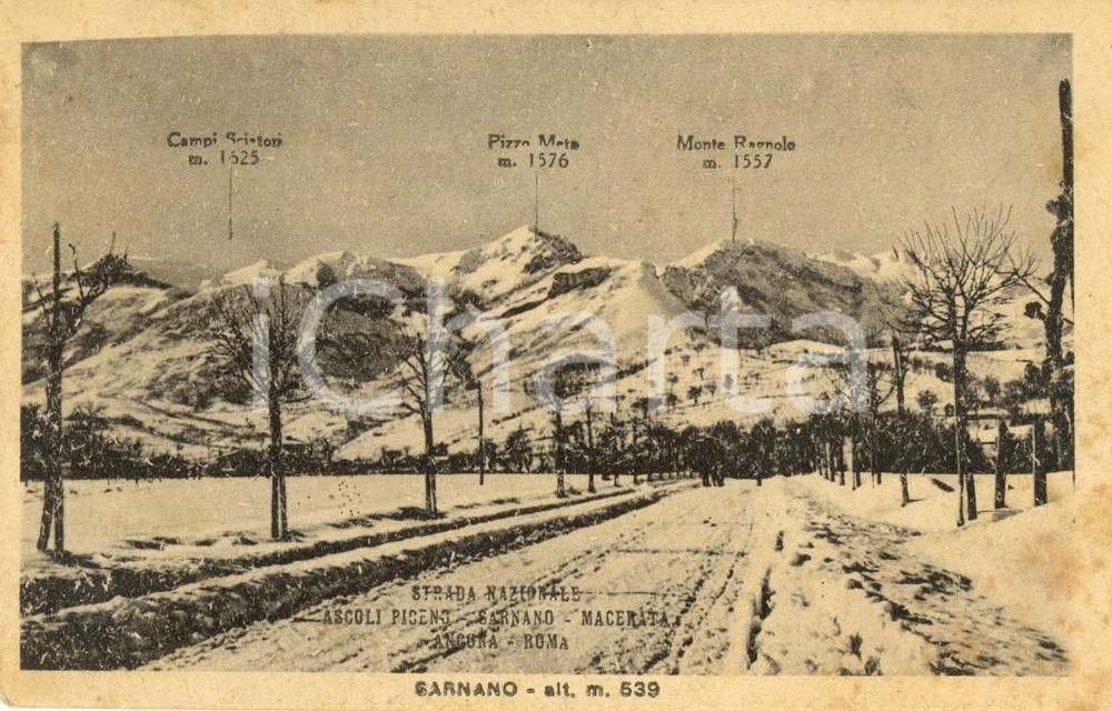 Cartolina originale da collezione 1948 SARNANO (MC) Panorama innevato con Pizzo META e Monte RAGNOLO *Cartolina VG 1