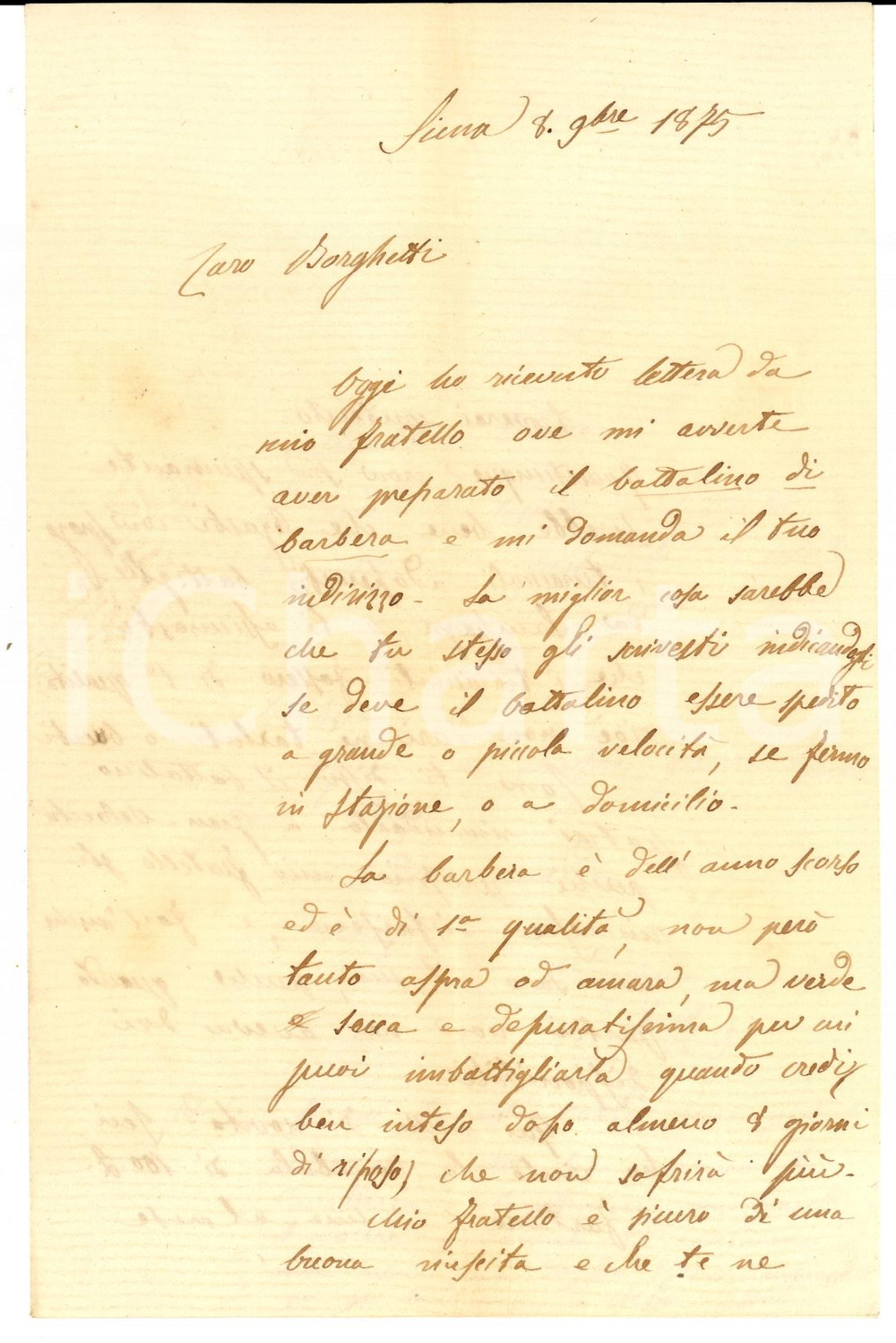 Manoscritto, lettera originale 1875 SIENA Famiglia GAMBA prepara bottalino di vino Barbera di qualità  Lettera 1