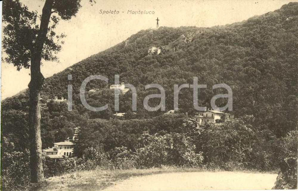 Cartolina originale da collezione 1920 ca SPOLETO (PG) Veduta della frazione MONTELUCO *Cartolina postale FP NV 1