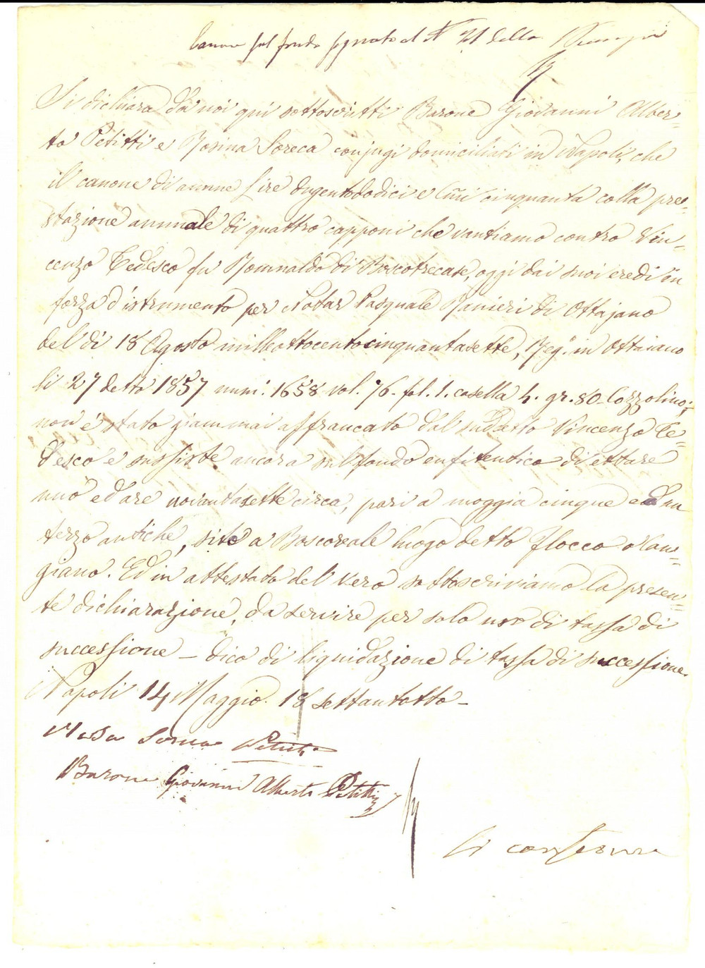 Documento originale, autentico 1878 NAPOLI Canone e capponi dovuti al barone Giovanni Alberto PETITTI 1