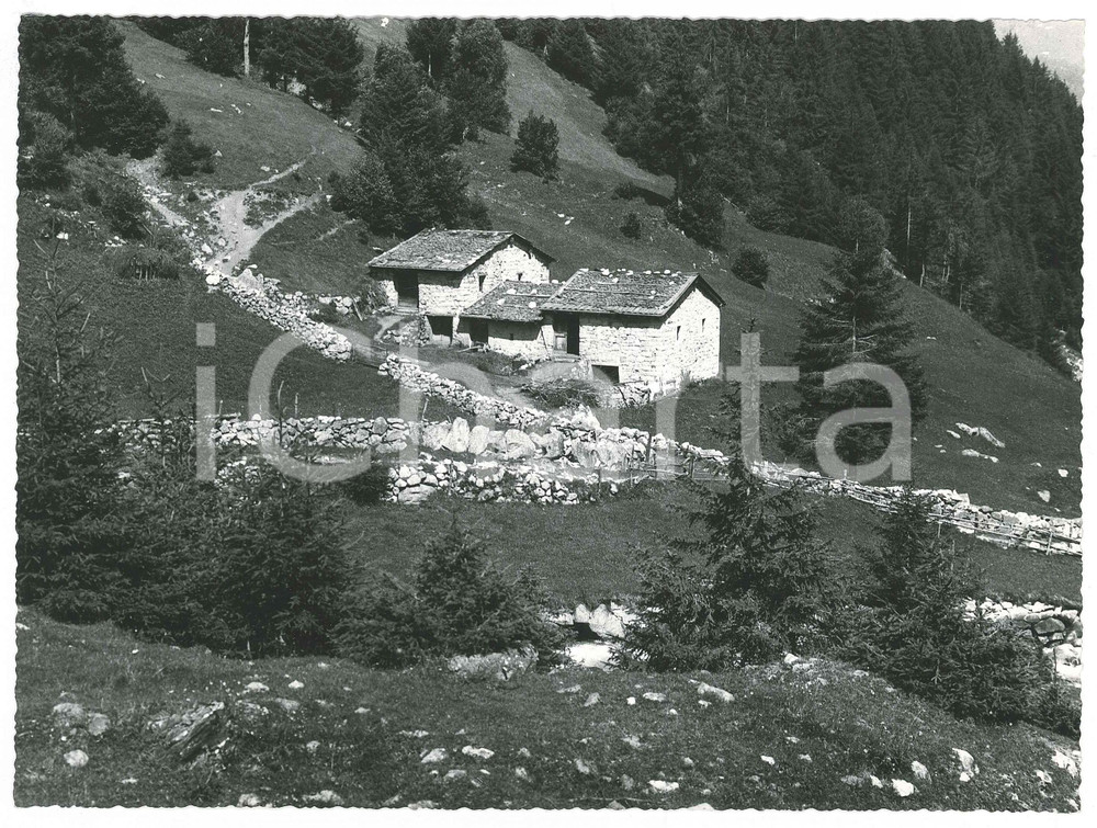 Fotografia d epoca originale 1955 ca VEZZA D OGLIO / VAL GRANDE  Panorama  Foto Gualtiero LAENG FIRMATA 1