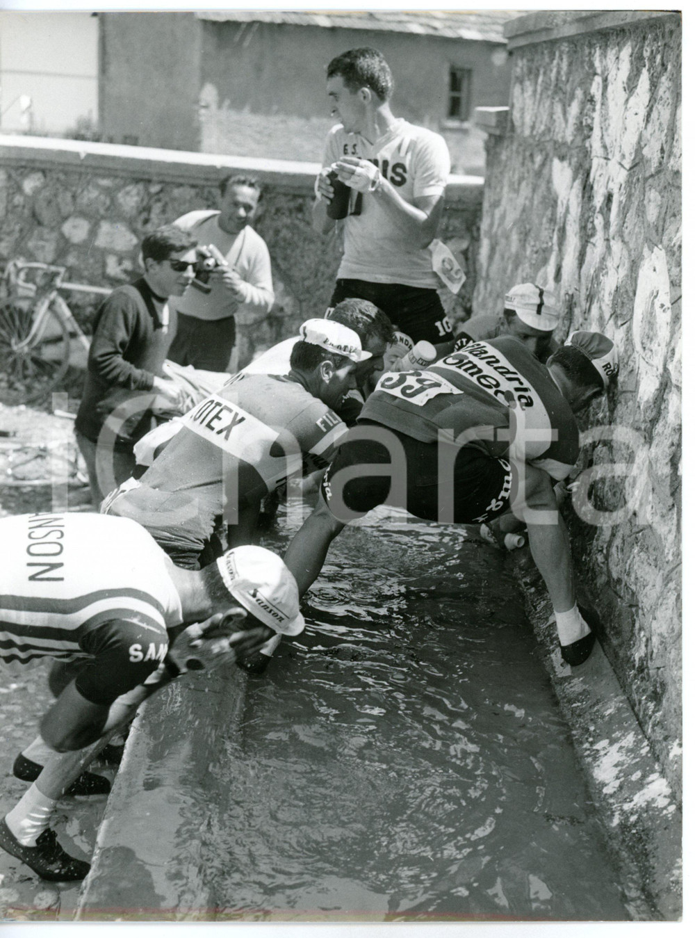 1965 AREA DI MILANO - CICLISMO GIRO D'ITALIA Corridori a una fontana *Foto 18x24 Fotografia d'epoca con didascalia coeva al verso. CONDIZIONI: GFORMATO: 18x24 cm     originale e autentica 1