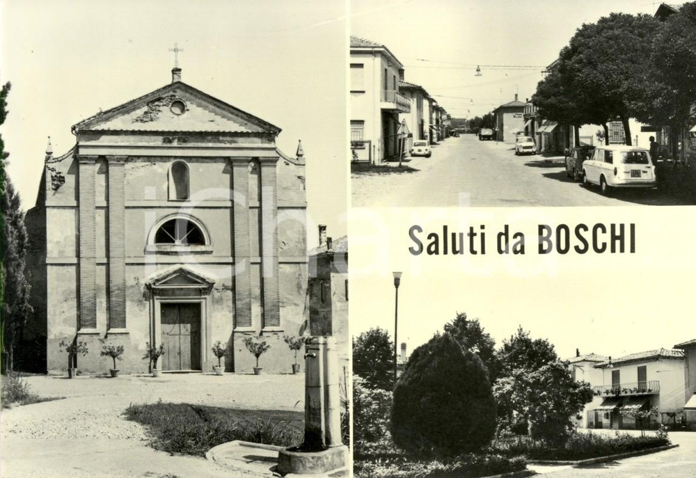 Cartolina originale da collezione 1950 ca BARICELLA BO Vedutine della frazione BOSCHI Cartolina postale FG NV 1