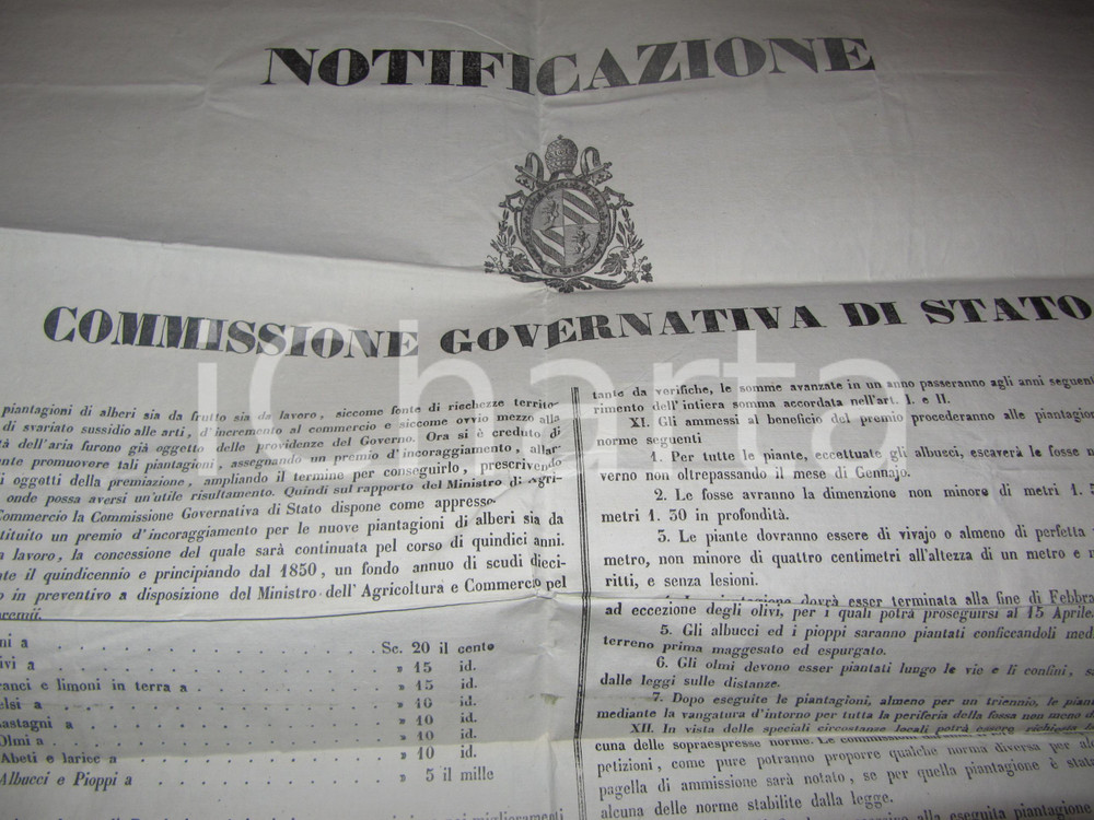 Documento originale, autentico 1849 ROMA Per la diffusione degli alberi da frutto e da lavoro MANIFESTO 1