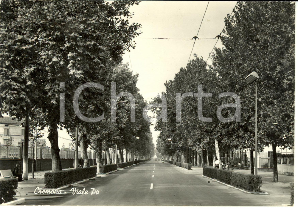 Cartolina originale da collezione 1963 CREMONA Viale Po Cartolina postale FG VG 1