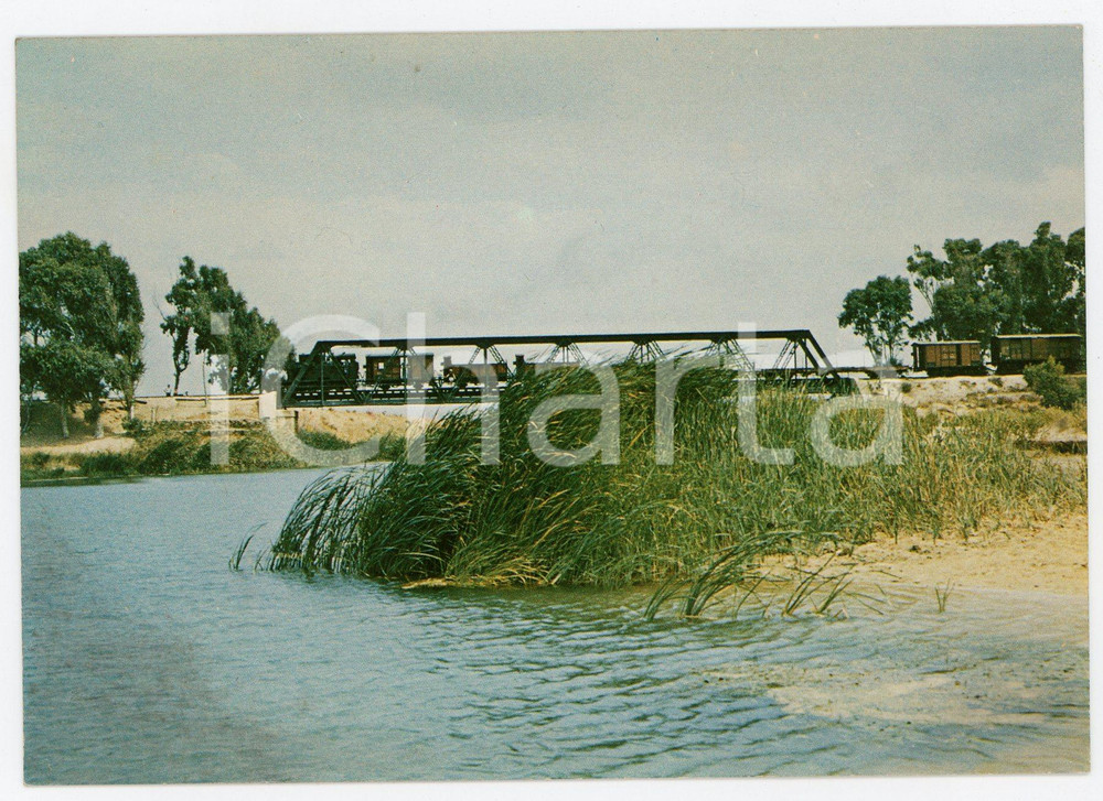 Cartolina originale da collezione 1975 ca AGRIGENTO Ferrovia CASTELVETRANO-RIBERA Ponte sul BELICE Cartolina FG NV 1