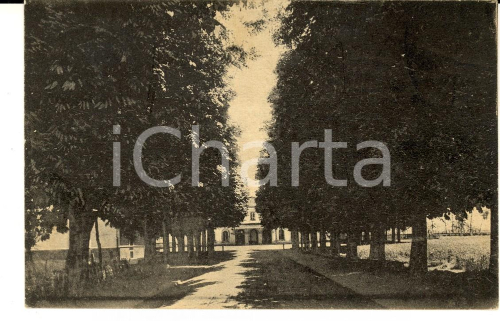 Cartolina originale da collezione 1930 CENTALLO CN Veduta del viale della Stazione Cartolina postale FP VG 1
