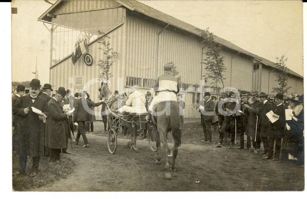 Fotografia d epoca originale 1910 ca TOURCOING Jules VANDERHAEGHE avec le cheval Darling Photo carte postale 1