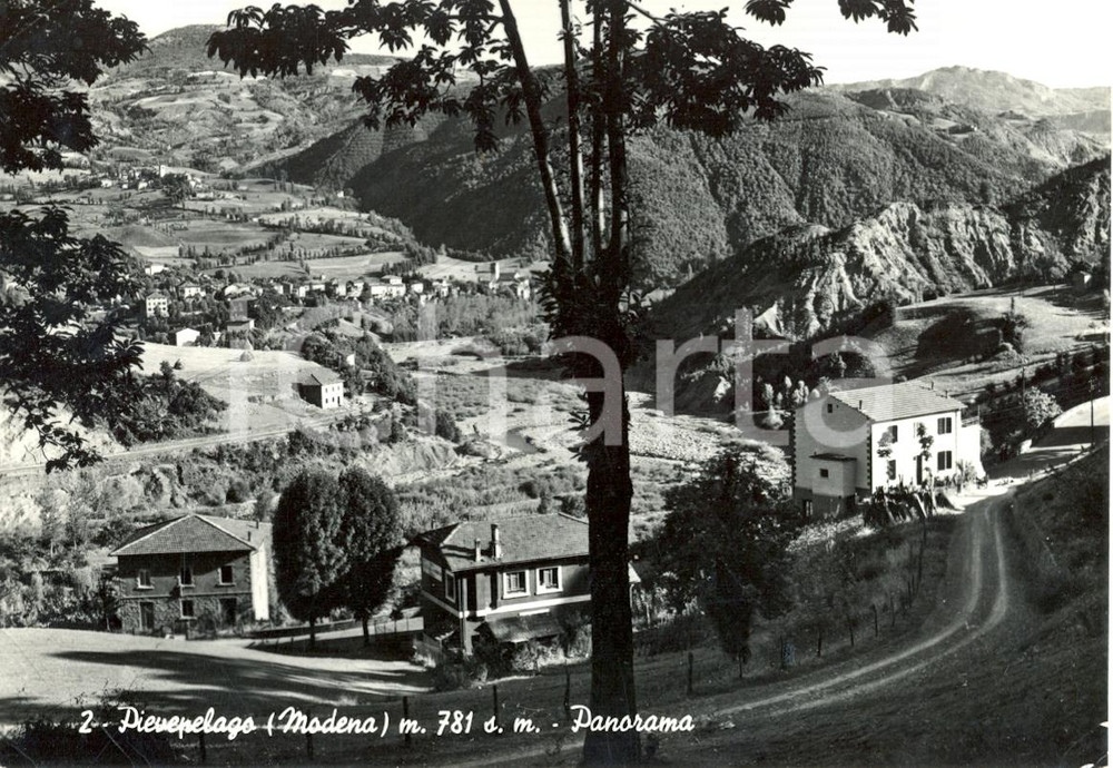 Cartolina originale da collezione 1958 PIEVEPELAGO MO Panorama generale Cartolina postale FG VG 1