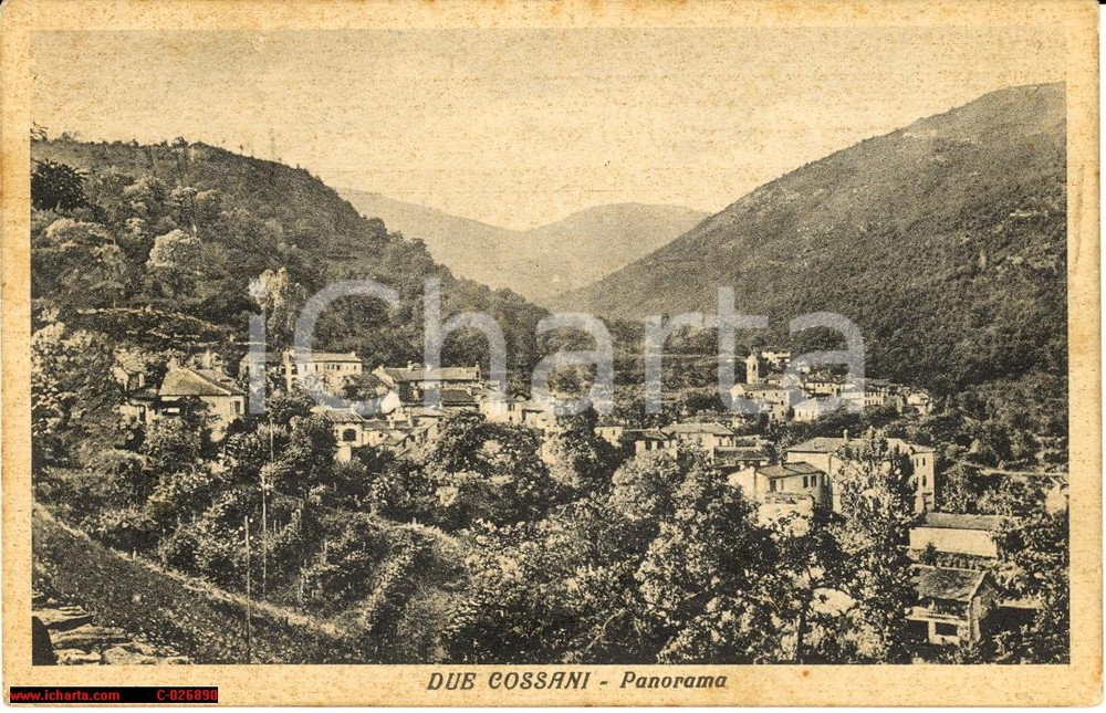 Cartolina originale da collezione 1930 circa DUMENZA (VA) Panorama frazione DUE COSSANI 1