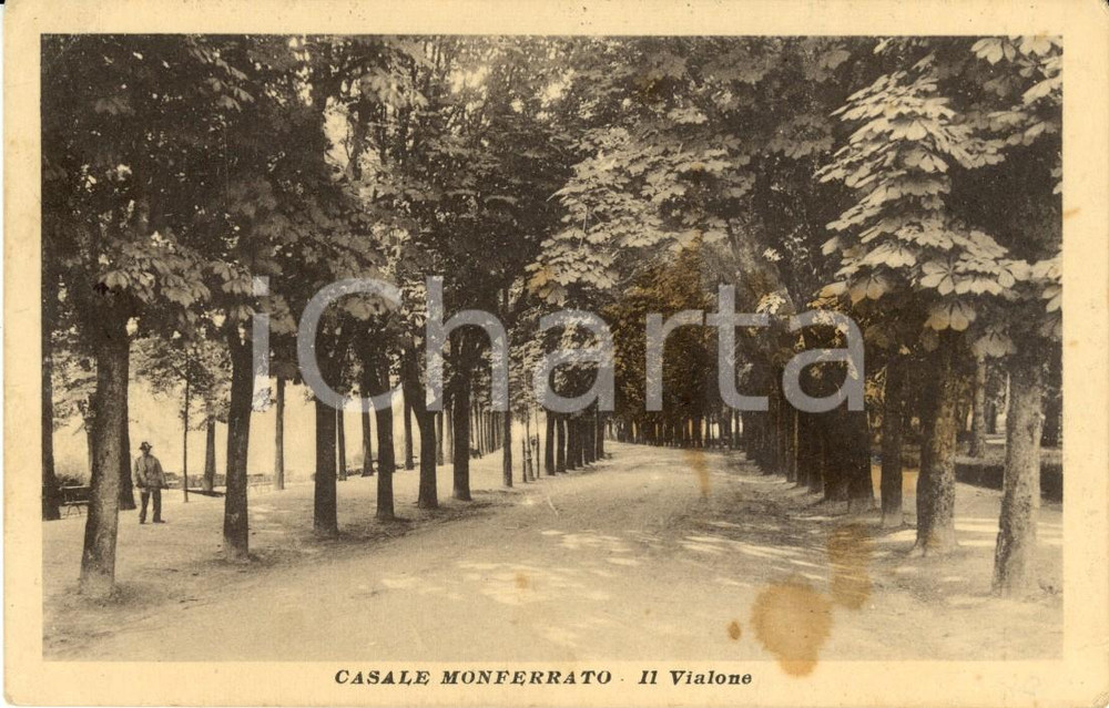 Cartolina originale da collezione 1932 CASALE MONFERRATO (AL) Veduta del Vialone alberato *Cartolina FP VG 1