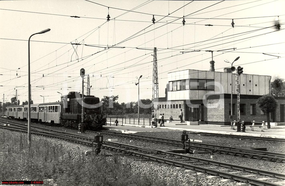 Fotografia d'epoca originale 1955 Budapest - Kozlekedesi Vallalat, REAL PHOTO 1