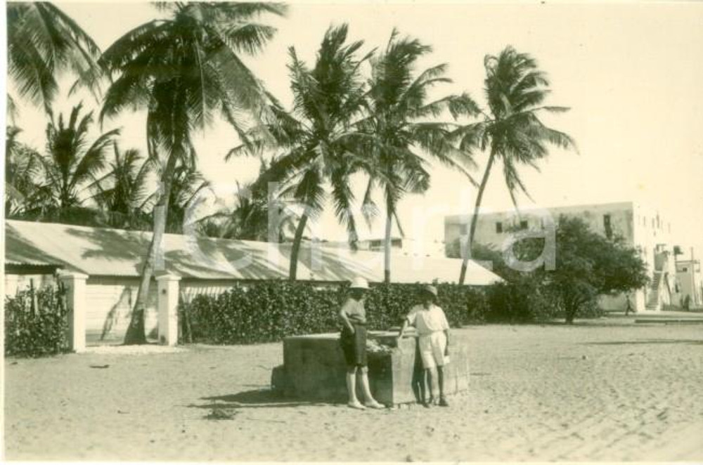 Fotografia d epoca originale 1939 CHISIMAIO SOMALIA AOI Alberi di cocco in piazza Fotografia cm 8 x 5 1