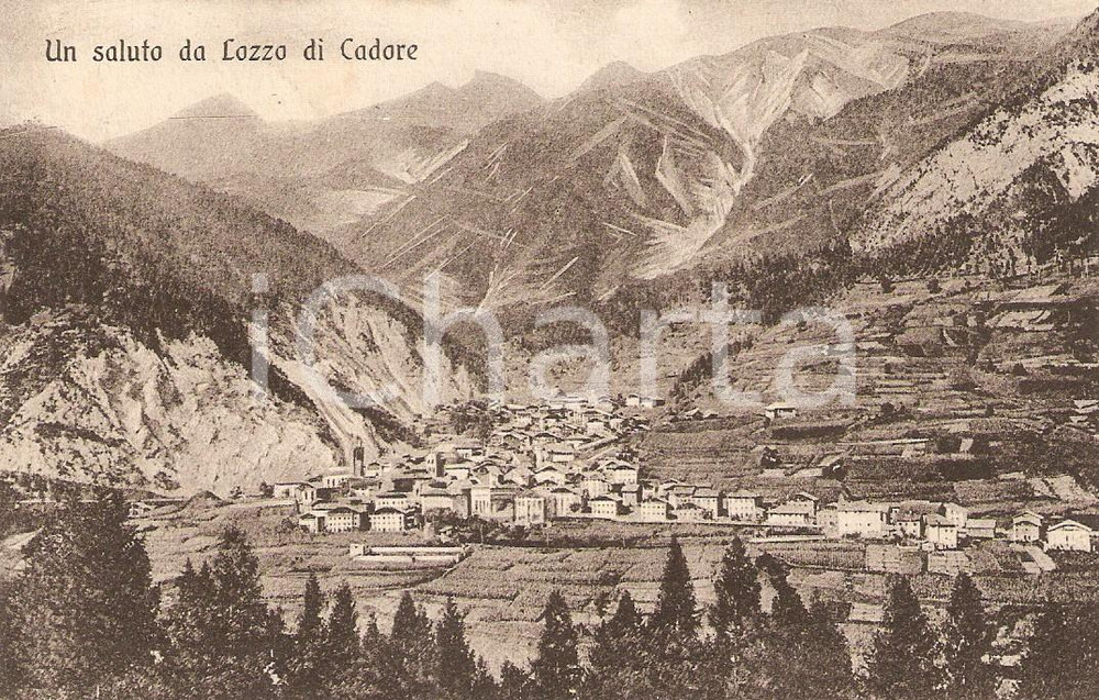 Cartolina originale da collezione 1913 LOZZO DI CADORE BL Veduta panoramica Alta Valle PIAVE Cartolina FP VG 1