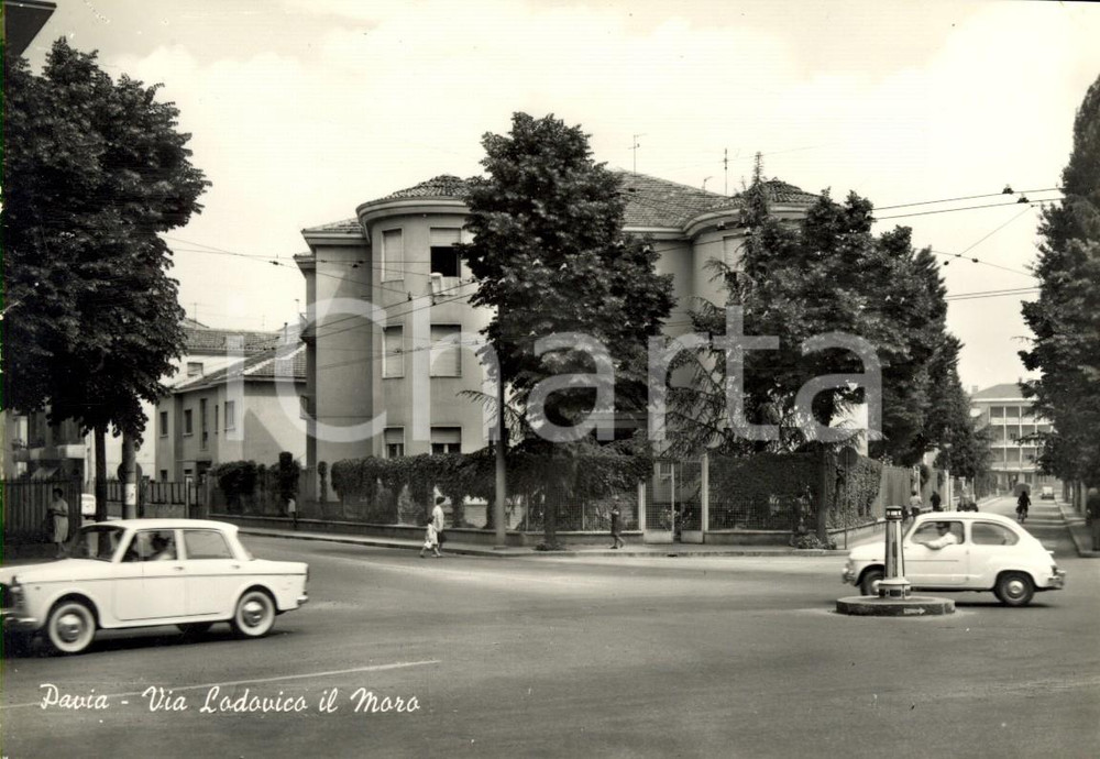 Cartolina originale da collezione 1960 ca PAVIA Veduta di via LUDOVICO IL MORO Cartolina postale ANIMATA FG NV 1