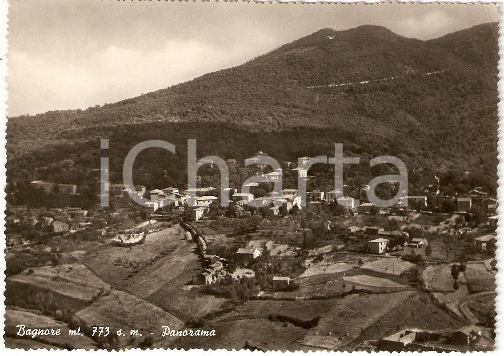 Cartolina originale da collezione 1958 BAGNORE GR Scorcio panoramico con MONTE AMIATA FG VG 1