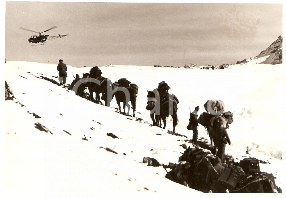 Fotografia d epoca originale 1976 SWITZERLAND Esercito Truppe alpine Elicottero ALOUETTE II Fotografia 1