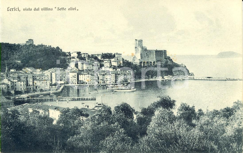 Cartolina originale da collezione 1930 ca LERICI (SP) Veduta del paese dal villino SETTE OLIVI *Cartolina FP NV 1