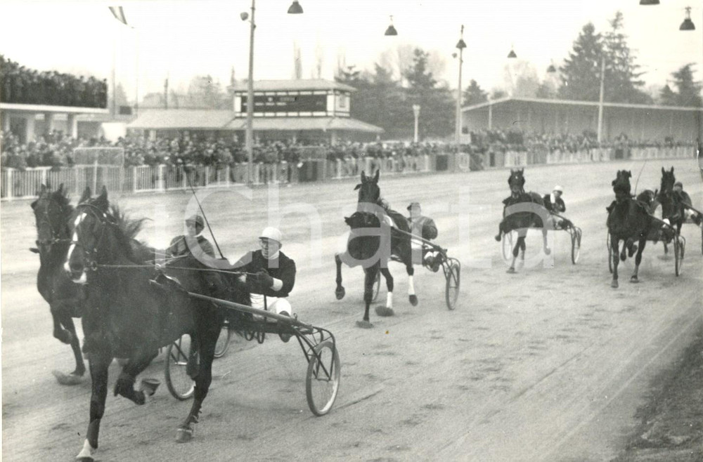 Fotografia d epoca originale 1954 MILANO Ippodromo San Siro  G.P. di Trotto  NELUMBO in testa alla corsa 1