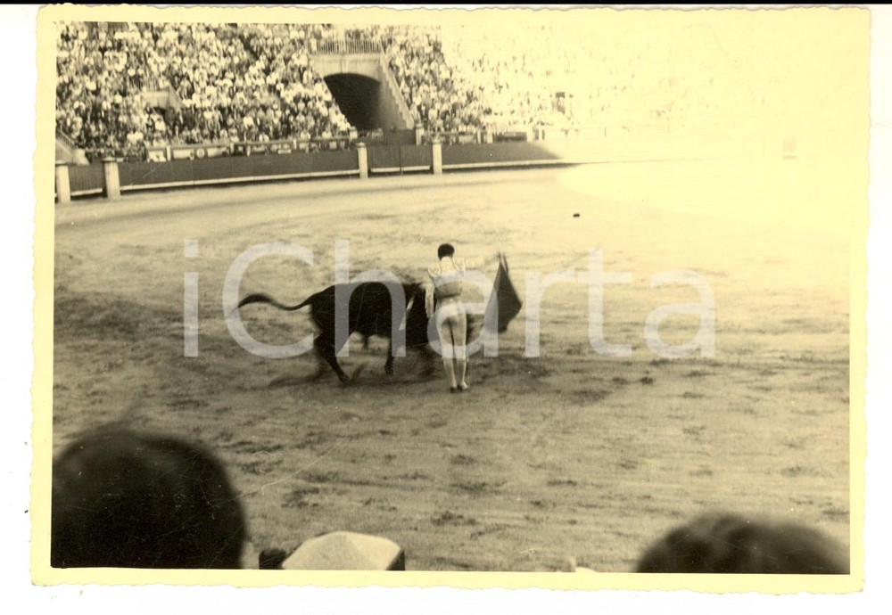 Fotografia d epoca originale 1960 ca ESPANA CORRIDA  Torero sventola il drappo rosso al toro Foto 15x10 cm 1