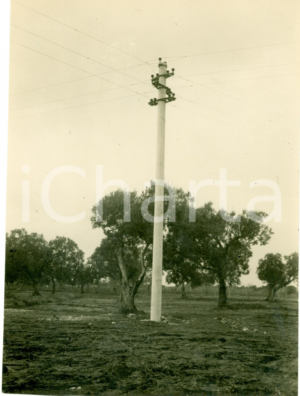 Fotografia d epoca originale 1929 OTRANTO LE Elettrificazione campagna del SALENTO Fotografia 1