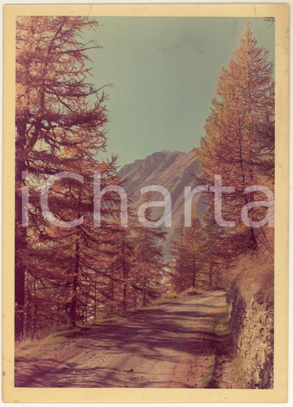 Fotografia d'epoca originale 1970 ca VAL CHISONE (TO) Veduta verso il COLLE DELLE FINESTRE *Foto HAUS 1