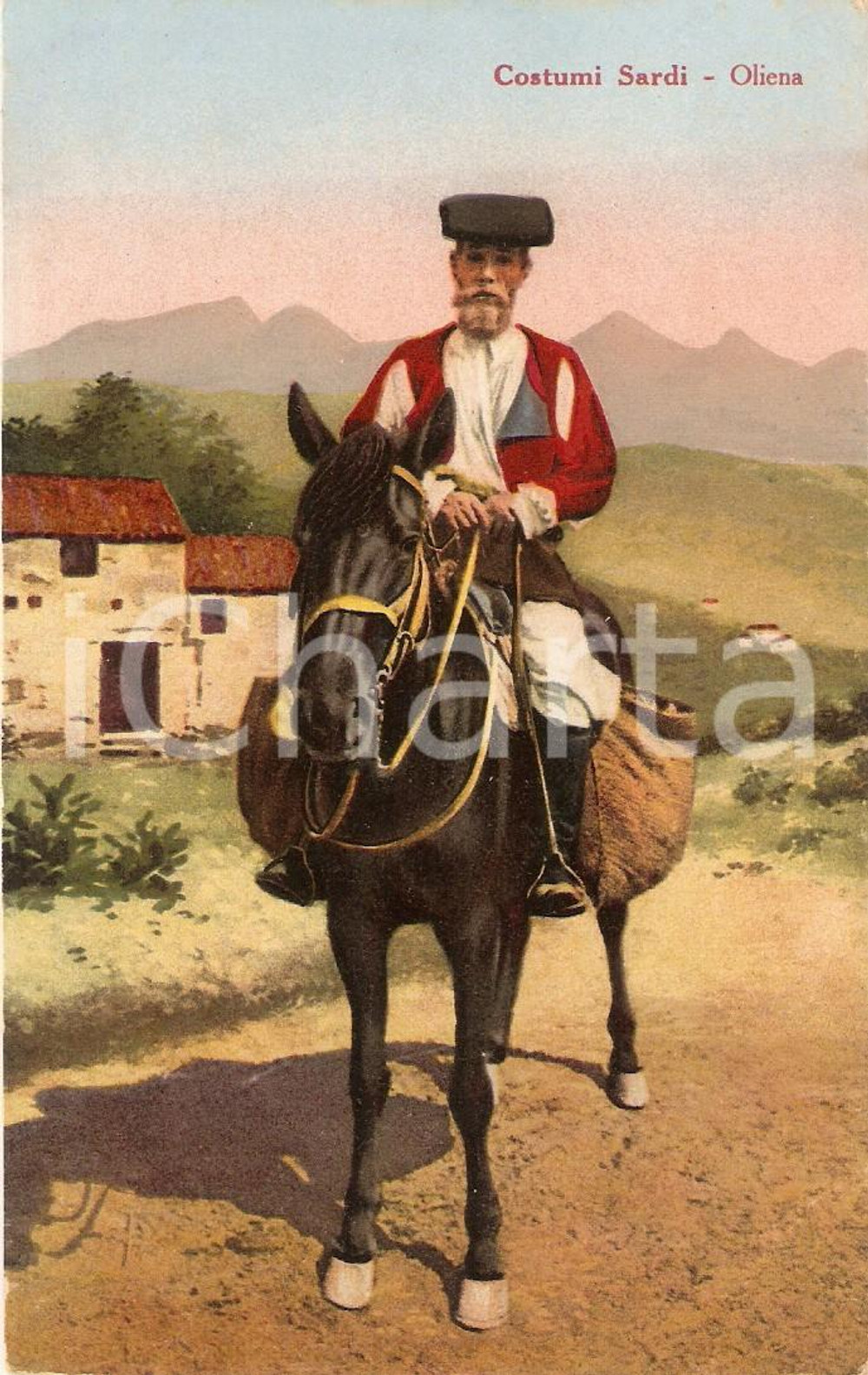 Cartolina originale da collezione 1920 circa OLIENA NU Uomo a cavallo in costume tradizionale Cartolina FP NV 1