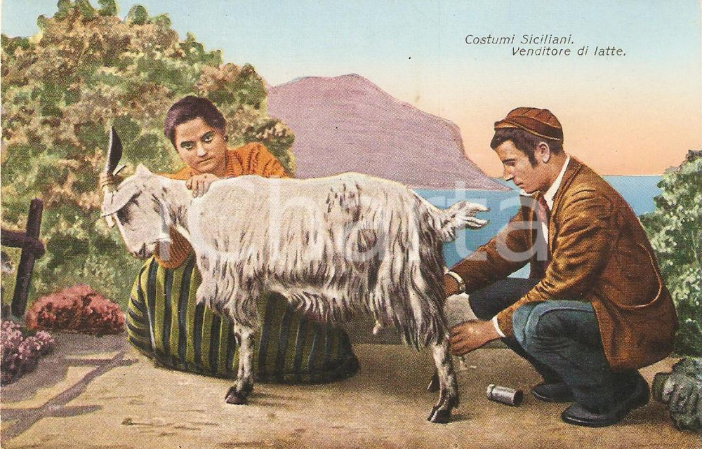 Cartolina originale da collezione 1910 ca SICILIA Venditori di latte mungono capra Cartolina COSTUMI FP NV 1