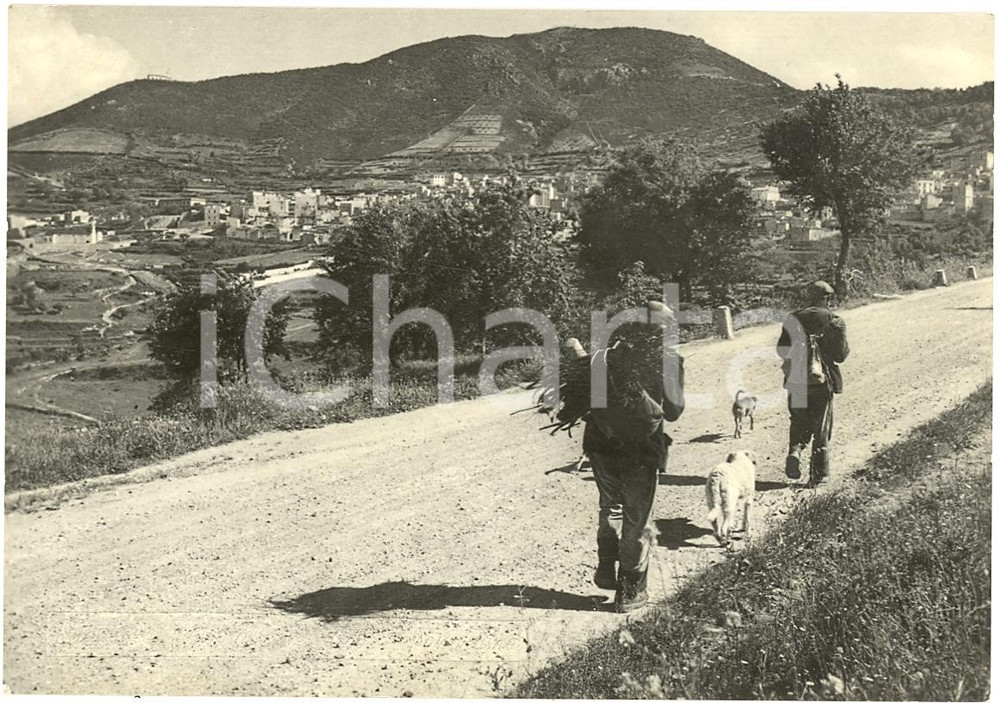 Cartolina originale da collezione 1971 ORGOSOLO (NU) Panorama del paese ANIMATA FG VG 1